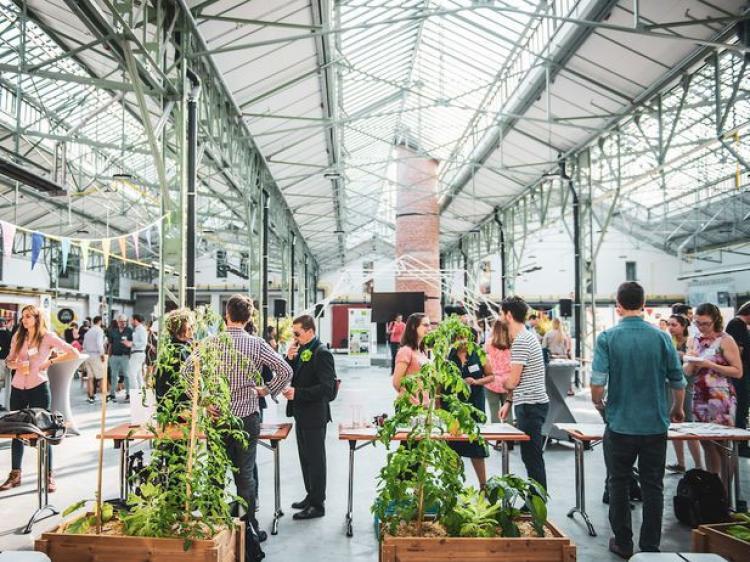 hangar avec plantes et personnes debout