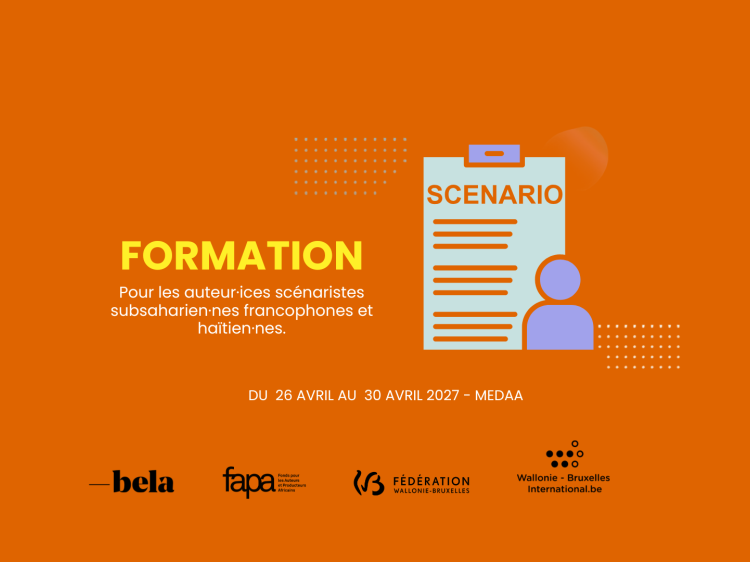 Formation professionnalisante pour des auteur·ices des pays d'Afrique subsaharienne francophone ou d’Haïti 